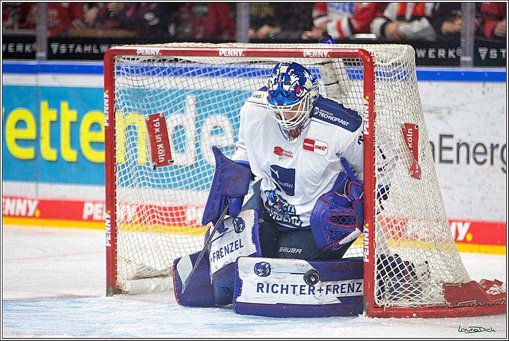 PENNY DEL; Koelner Haie- Straubing Tigers; Koeln, 28.12.2022